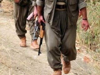 Bayramı kana bulamak isteyen 2 PKK’lı terörist öldürüldü