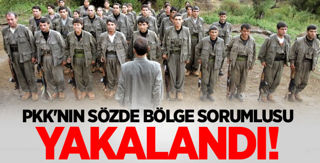 PKK'nın sözde bölge sorumlusu yakalandı!