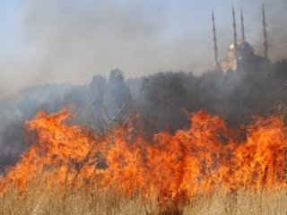 Dicle Üniversitesi'nde yangın