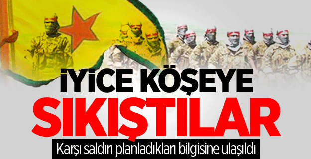 PKK'nın Suriye'deki uzantısı olan YPG çocukları cepheye sürecek