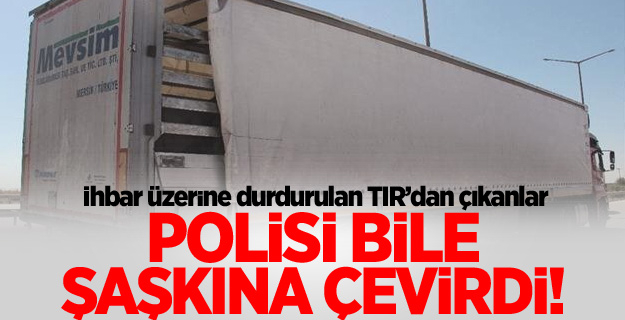 Durdurulan TIR'dan 35 at çıktı