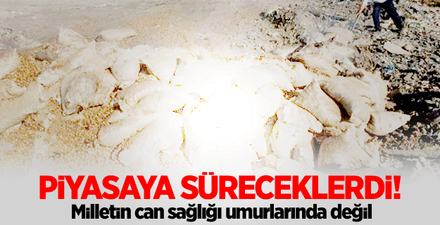 Bozuk cevizleri piyasaya süreceklerdi
