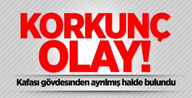 Kafası gövdesinden ayrılmış halde bulundu