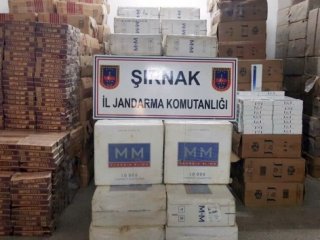 Şırnak’ta 130 bin paket kaçak sigara ele geçirildi