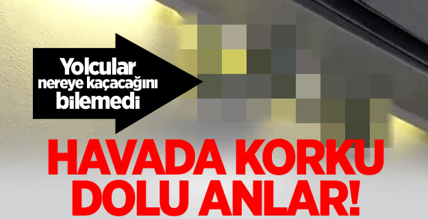 Uçakta yılan paniği