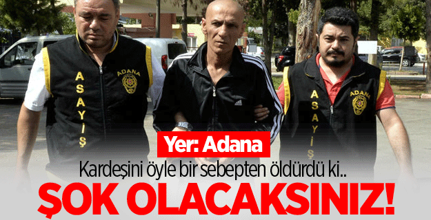 Arabayı stop ettirdi diye kardeşini öldürdü
