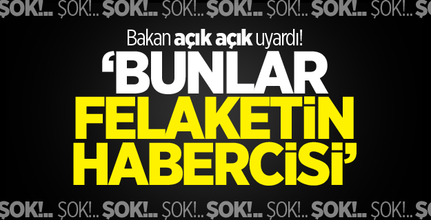 Bakan Özhaseki: Sıcaklığın artışı felaketin habercisi