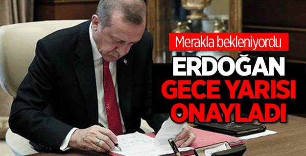 Cumhurbaşkanı Erdoğan 9 kanunu onayladı