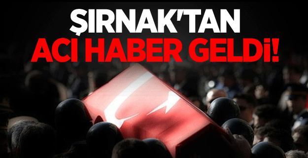 Bir acı haber de Şırnak'tan geldi!