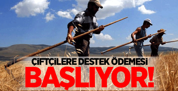 Çiftçilere destek ödemesi yarın başlıyor!