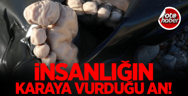 Libya'da cesetler karaya vurdu!