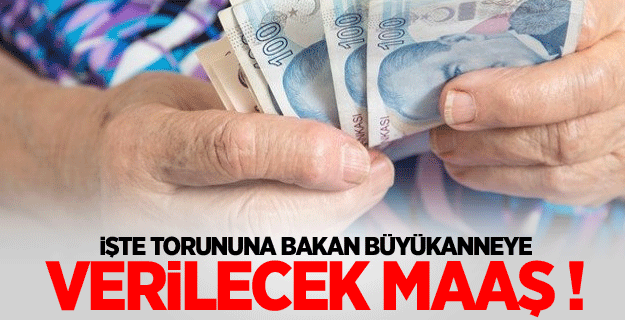 Torununa bakan büyükanneye bin 555 lira maaş verilecek!