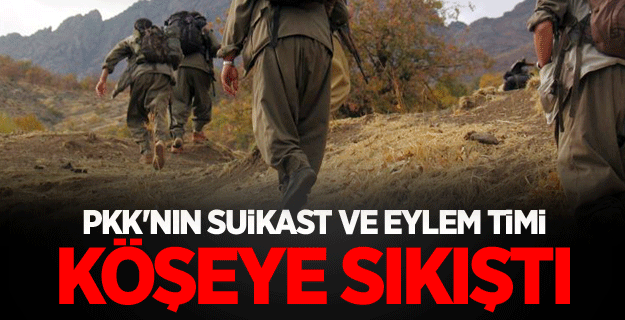 İstanbul'da PKK'nın suikast ve eylem timine operasyon düzenlendi!