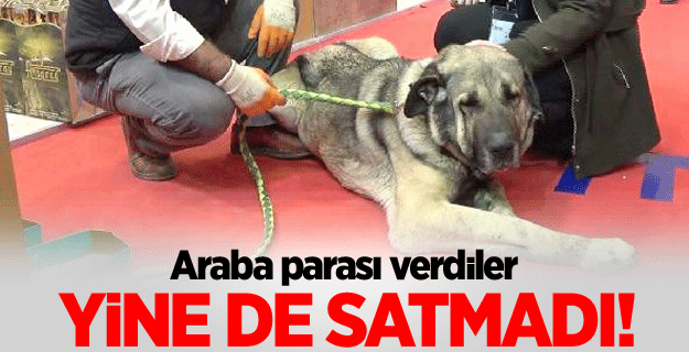 25 bin TL teklif edilen köpeğini satmadı