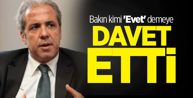 Şamil Tayyar bakın kimi 'Evet' demeye davet etti