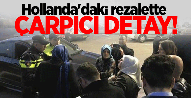Hollanda'daki rezalette çarpıcı detay!