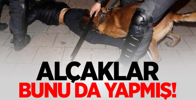 Hüseyin Kurt'un boynunun da kırıldığı ortaya çıktı
