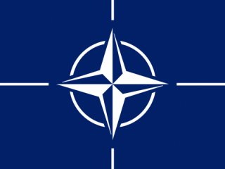 NATO'da çatlak var!