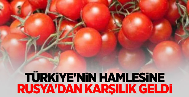 Türkiye'nin hamlesine Rusya'dan karşılık geldi.