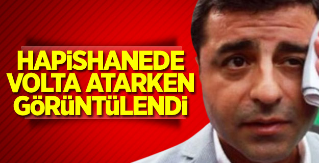 Demirtaş ve Zeydan'ın volta atarken fotoğrafı yayınlandı