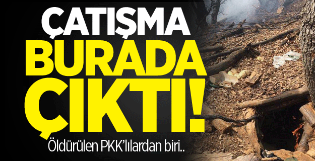 14 PKK'lının öldürüldüğü operasyonun detayları