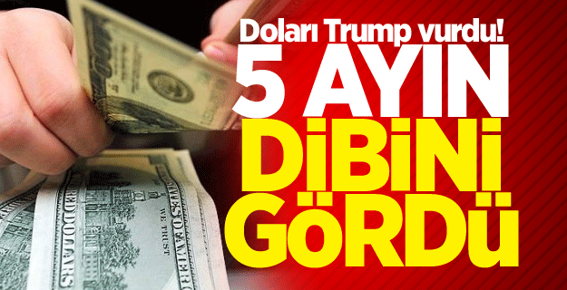 Doları Trump vurdu! 5 ayın dibini gördü