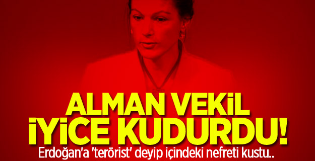 Alman vekilden nefret dolu Erdoğan sözleri!