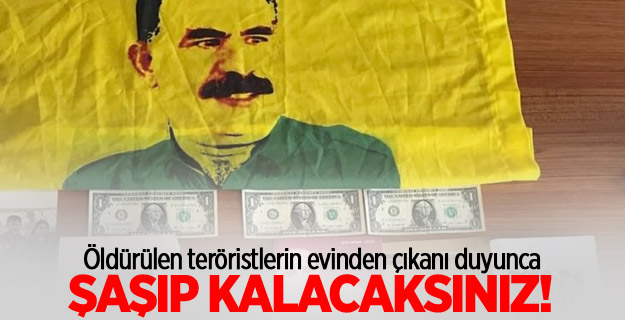 Öldürülen teröristlerin evinden 1 dolar çıktı