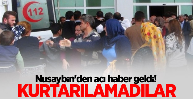 Nusaybin'den acı haber! Kurtarılamadılar