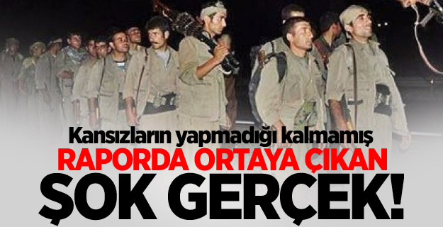 Raporda ortaya çıkan şok gerçek!
