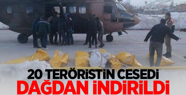 Bitlis'te 20 terörist öldürüldü