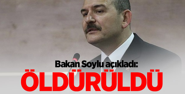 Bakan Soylu açıkladı: Öldürüldü