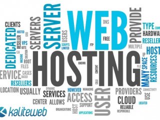 Kaliteweb Web Hosting Hizmeti Hem Ucuz Hem Yüksek Kapasite