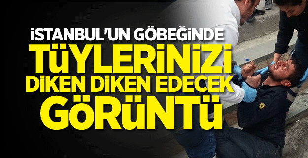 İstanbul'un göbeğinde tüylerinizi diken diken edecek görüntü