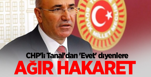 CHP'li Tanal 'Evet' diyenlere hakaret etti