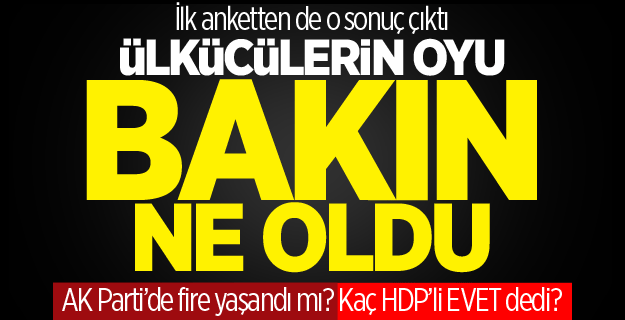 Referandum sonrası ilk anket: MHP’lilerin kaçı evet dedi?