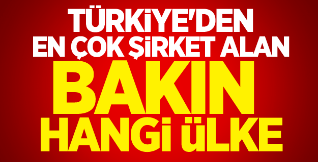 İşte Türkiye'de en çok şirket alan ülke