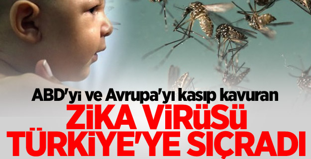 Zika virüsü Türkiye'de!