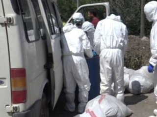 Türkiye'de hortladı! Hemen itlaf başladı