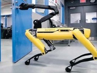 Dünya bu robotu konuşuyor! Bunu da yaptılar