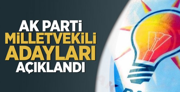 24 Haziran il il Ak Partili Milletvekili adayları tam liste, kim nereden aday oldu?