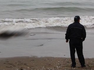 Şok eden görüntü! İzmir'de karaya vurdu