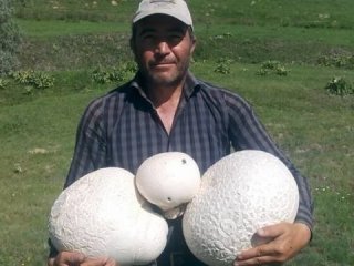 Görenler inanamadı!