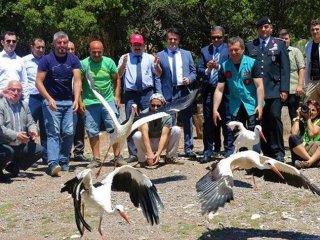 Tedavileri tamamlanan yaban hayvanları doğaya bırakıldı