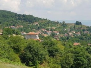Şarbon alarmı! Köy karantinaya alındı