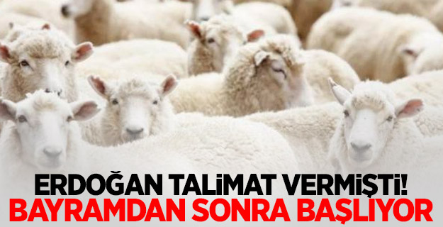 Erdoğan talimat vermişti! Bayramdan sonra başlıyor