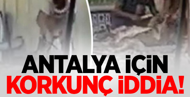 Antalya'yı karıştıran görüntüler!