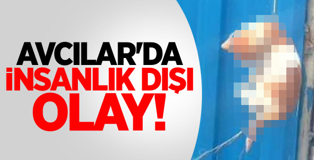 Avcılar'da insanlık dışı olay!