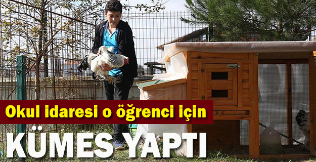 Tavuklarından ayrı kalamayan öğrenci için okula kümes yapıldı