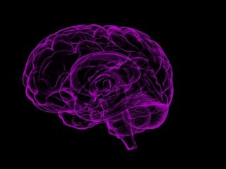 Alzheimer'la savaşta en büyük yardıcınız bu besinler
